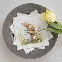 Servetter - Påskharen och ägget