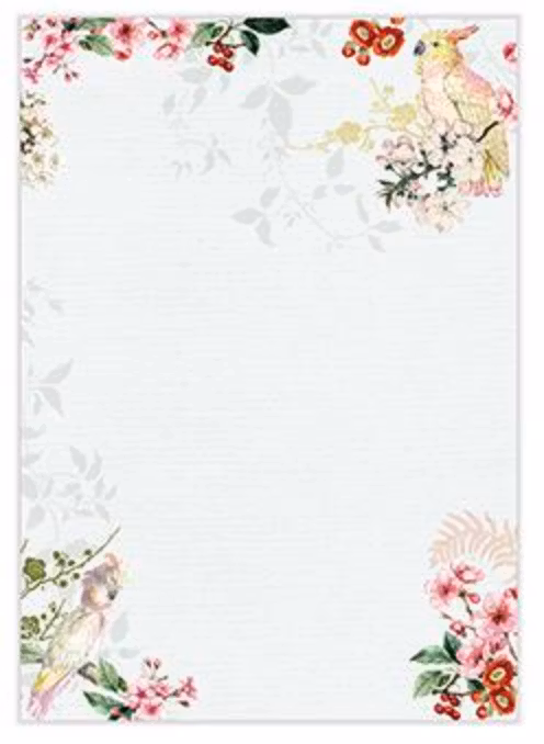 Skrivset med Brevpapper och Kuvert - Kakaduor