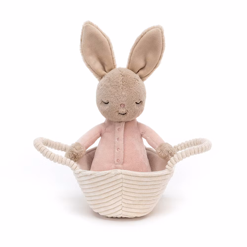 Sovande kanin i korg