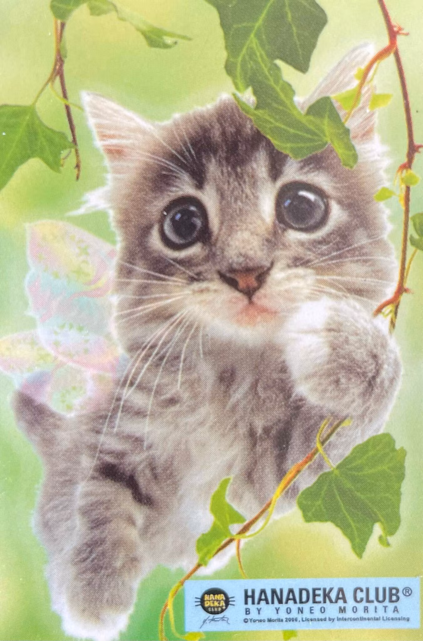 Liten anteckningsbok - Katter (6 olika varianter)