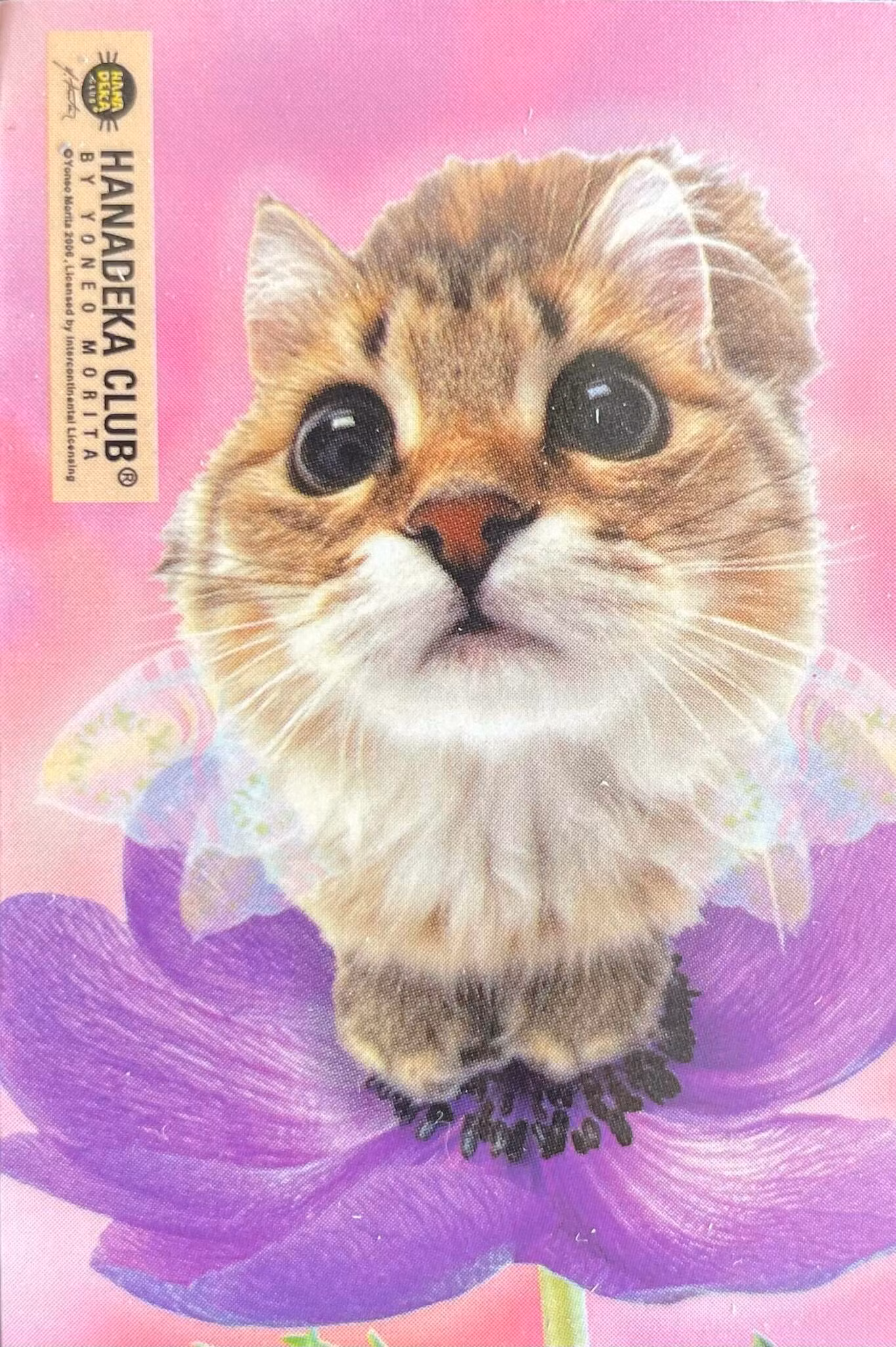 Minsta blocket - Katter (6 olika varianter)