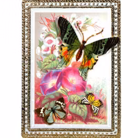 Vackert kort med kuvert - Fjärilen (Fraktfritt)