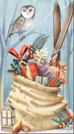 Magiskt julkort - Tomtens släde (Fraktfritt)