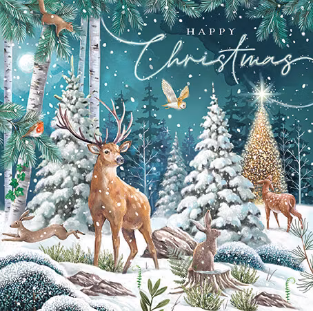 Förpackning med flera lyxiga julkort (12 stycken) - Skogsmarkens jul