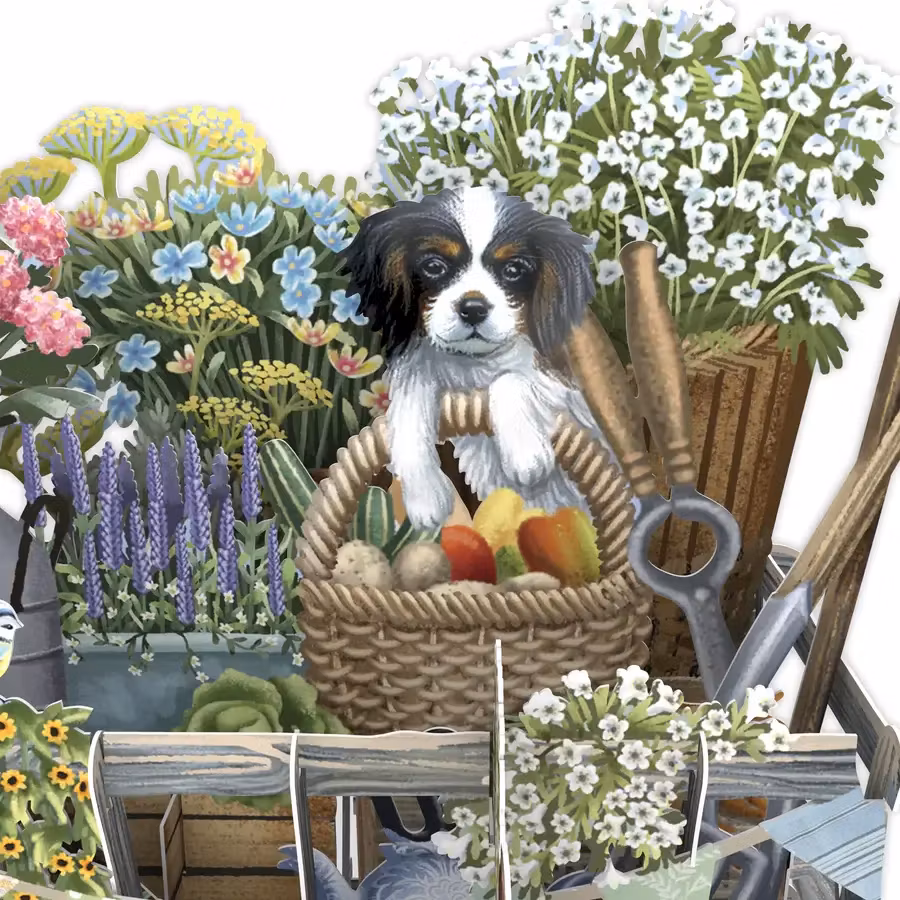 Magiskt gratulationskort - Hundvagn (Fraktfritt)