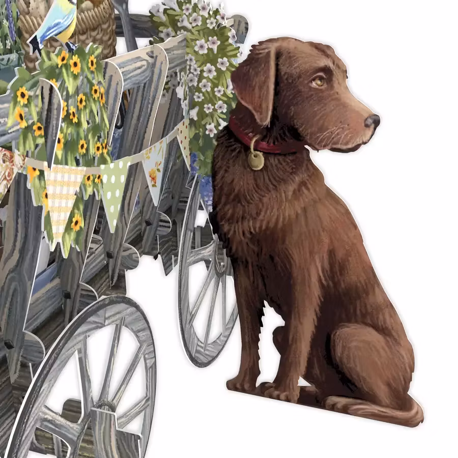 Magiskt gratulationskort - Hundvagn (Fraktfritt)