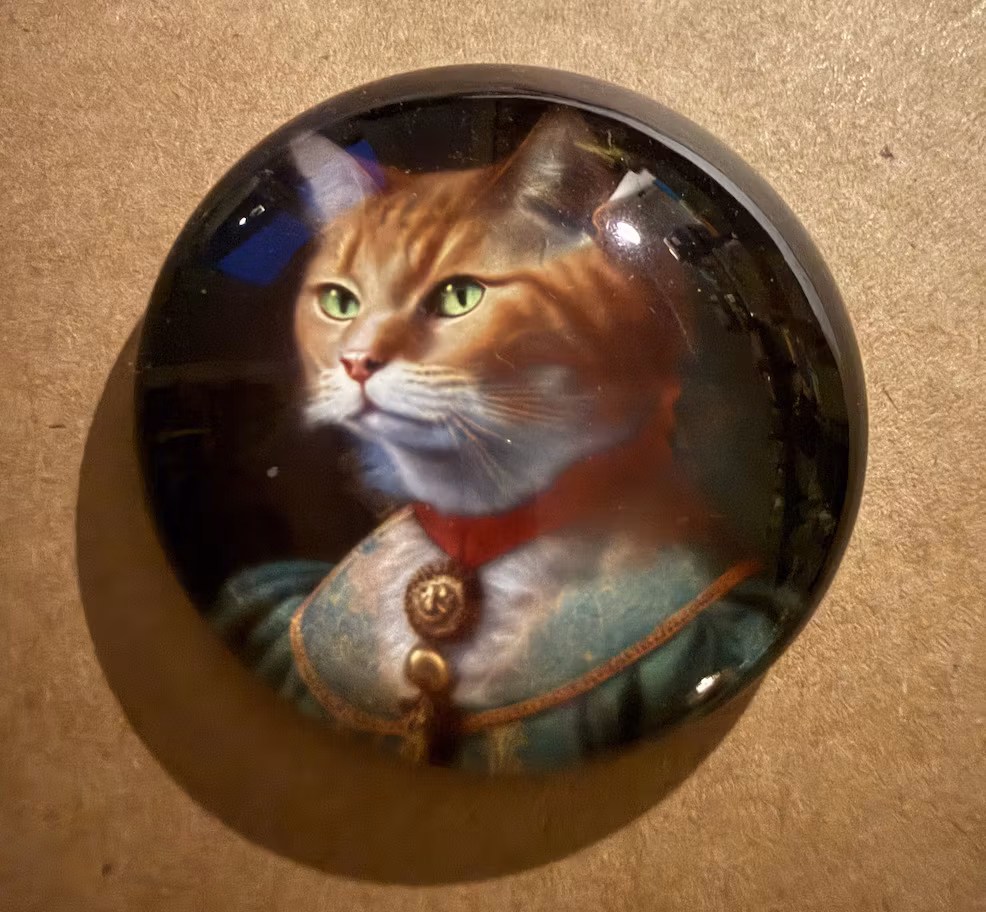 Magneter med vackra katter (välj själv vilken du vill ha)