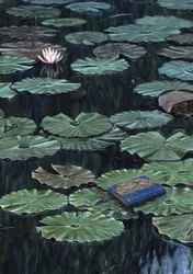 Enkelt Kort -Näckrosboken (Fraktfritt)