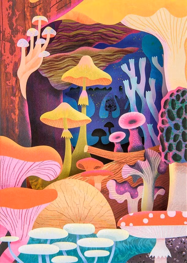 Utvikbart kort med kuvert - Svampar (Fraktfritt)