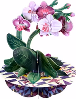 Magiskt gratulationskort - Orkidéer (Fraktfritt)