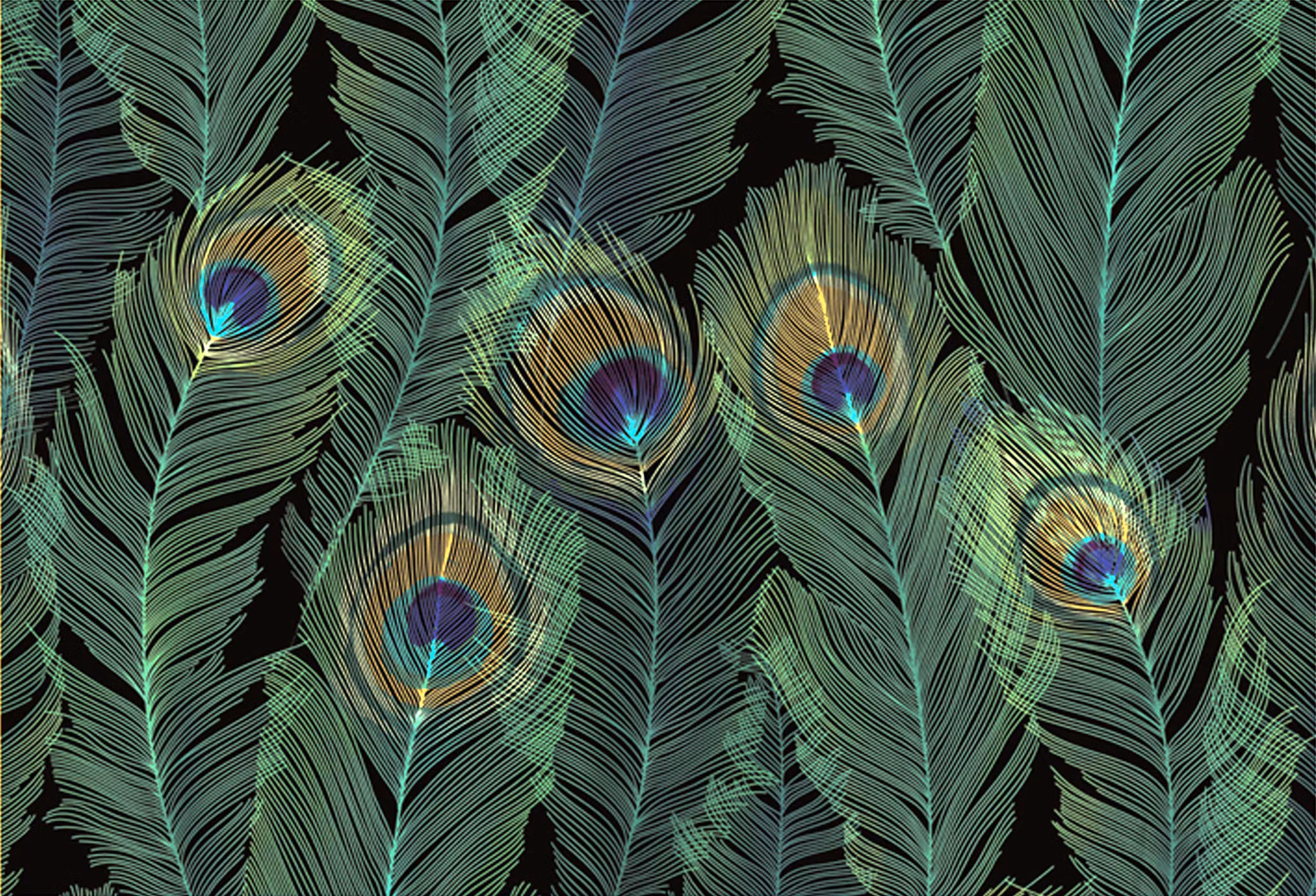 Förpackning med flera kort med kuvert - Påfågelsfjädrar