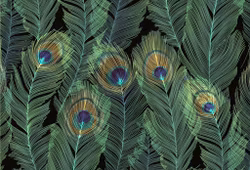 Förpackning med flera kort med kuvert - Påfågelsfjädrar