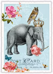 Enkelt, lyxigt kort - Elefanten och Ugglan (Fraktfritt)