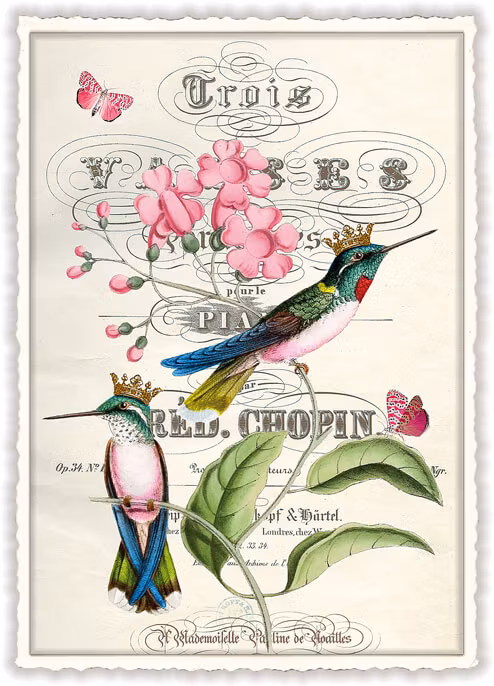 Lyxigt, enkelt kort - Kungliga kolibrier (Fraktfritt)