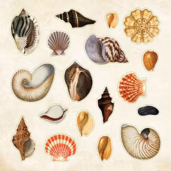 Klistermärkesbok - Poseidon's värld