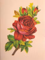 Litet kort med kuvert - Rosen (Fraktfritt)