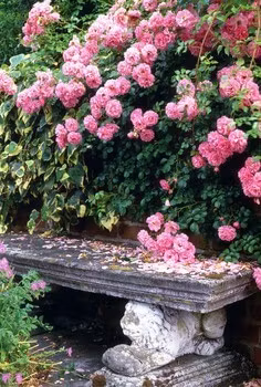 Dubbelt kort med kuvert - Rosenbänken (Fraktfritt)