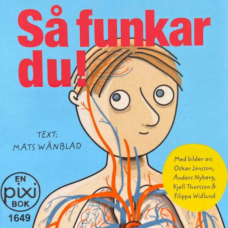 Pixi-böcker - (Fraktfritt) Många att välja bland