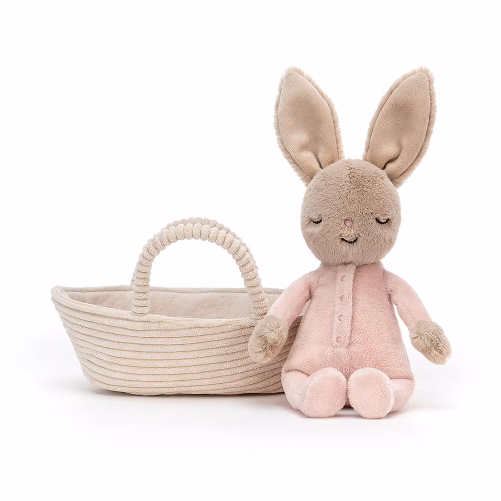 Sovande kanin i korg