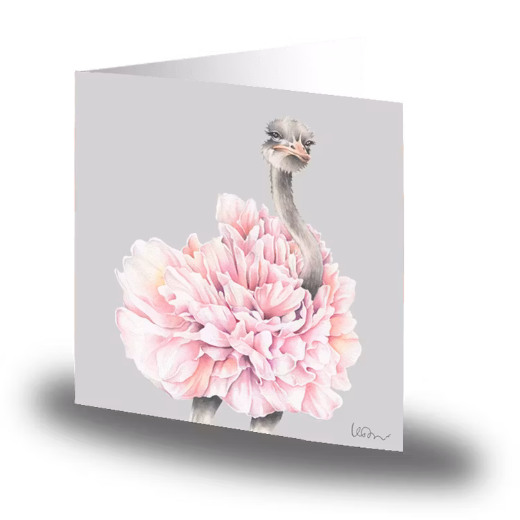 Kort med kuvert - Stuts med lånta fjädrar (Fraktfritt)