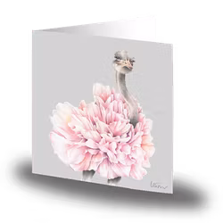 Kort med kuvert - Struts med lånta fjädrar (Fraktfritt)