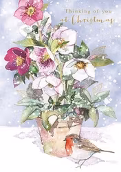 Dubbelt julkort med kuvert - Rödhaken med Julrosor (Fraktfritt)