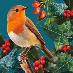 Dubbelt julkort med kuvert - Rödhaken bland bären (Fraktfritt)