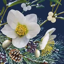 Dubbelt julkort med kuvert - Julros (Fraktfritt)