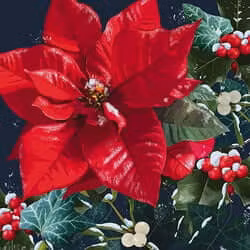 Dubbelt julkort med kuvert - Julstjärnan (Fraktfritt)