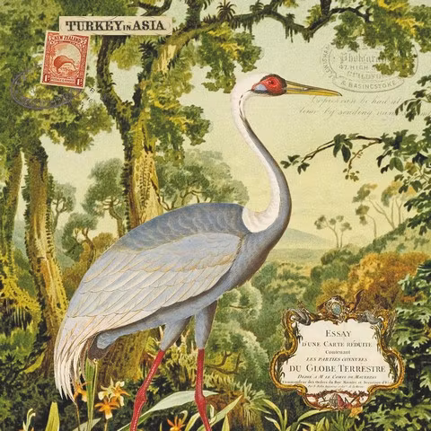 Putsduk - Tranan (Fraktfritt)