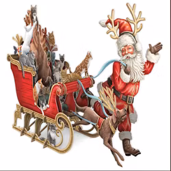 Magiskt julkort - Tomten drar släden (Fraktfritt)