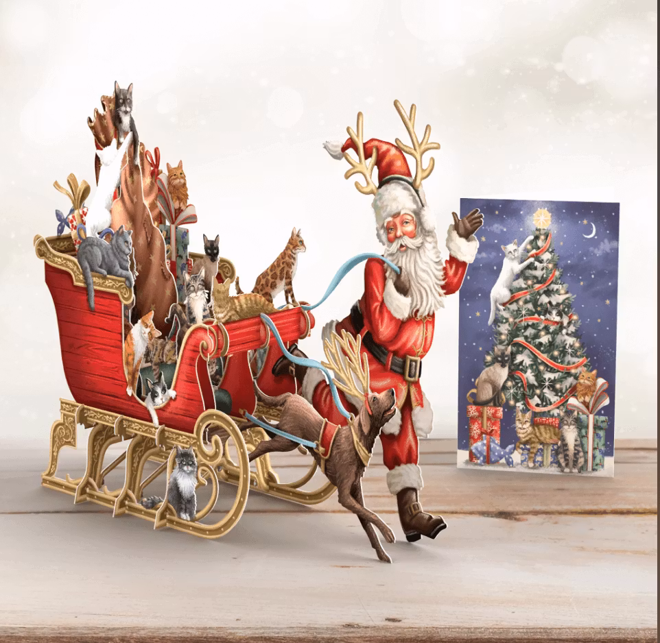 Magiskt julkort - Tomten drar släden (Fraktfritt)