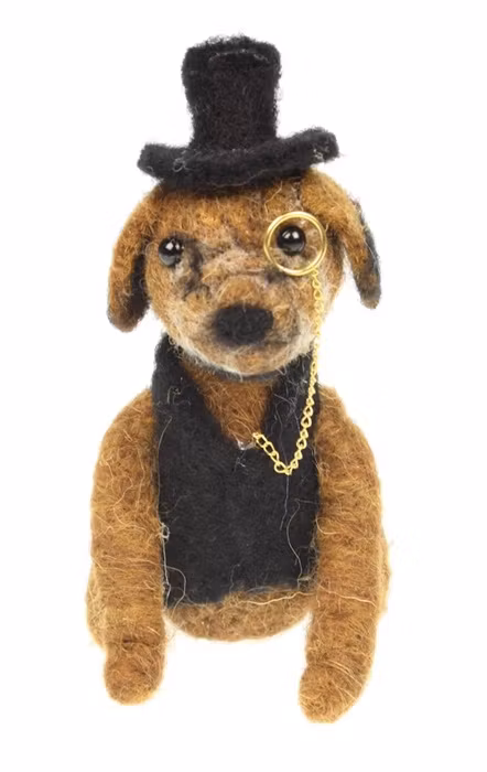 Hund i tovad ull med monokel