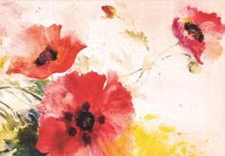 Förpackning med flera kort med kuvert - Vallmo