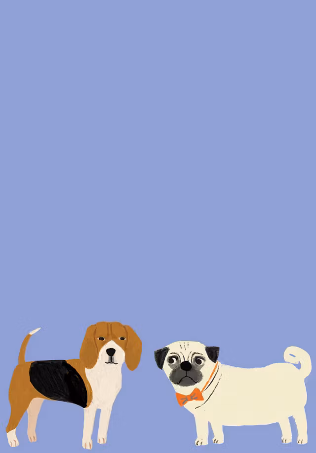 Skrivset med Brevpapper - Hundar