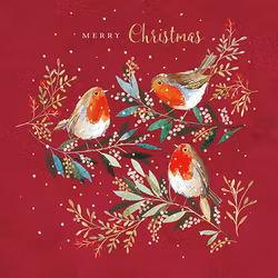 Dubbelt julkort med kuvert - Julfestliga rödhakar (Fraktfritt)