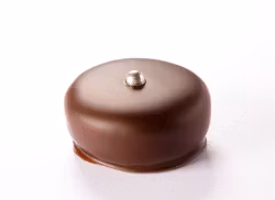 Silverkrokant