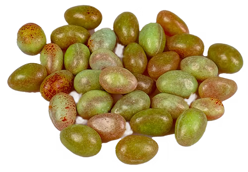 Melonägg