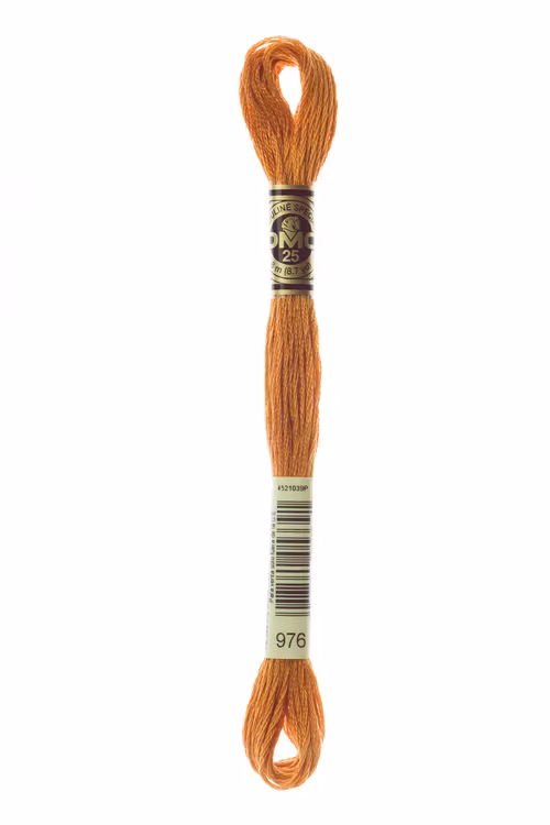 DMC Moulinégarn 976