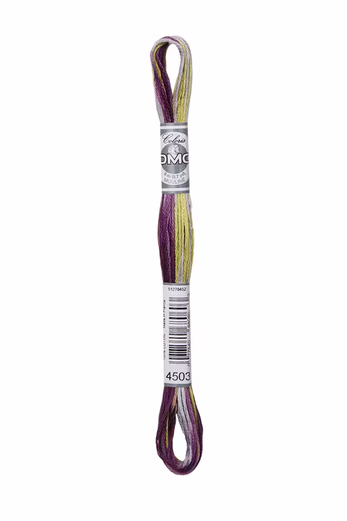 DMC Coloris 4503