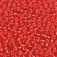 Petit Glass Beads 42043 Rich Red