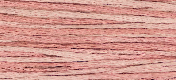WDW 2282 Charlotte's Pink