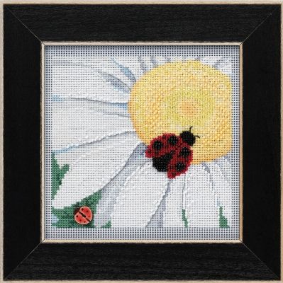 Mill Hill -  Ladybug on Daisy (2021)