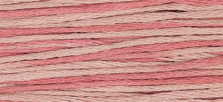 WDW 2284 Madison Rose