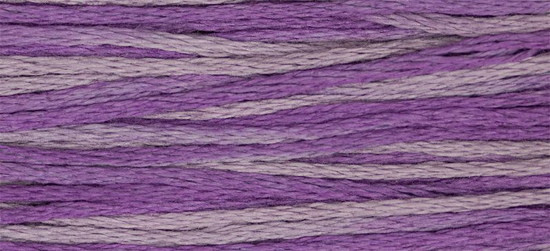 WDW 2316 Iris