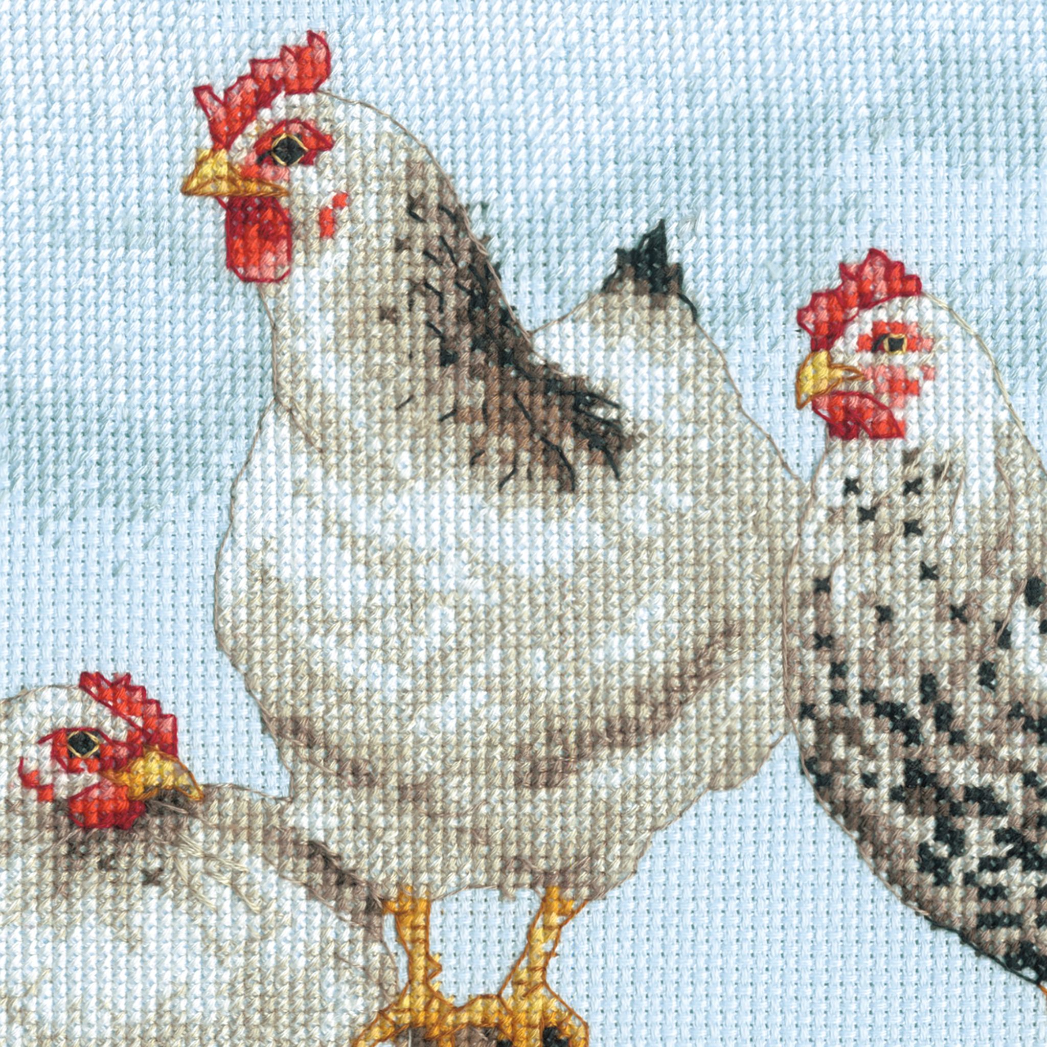 Dimensions - Black and White Hens