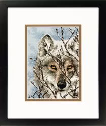 Dimensions Gold  - Wolf