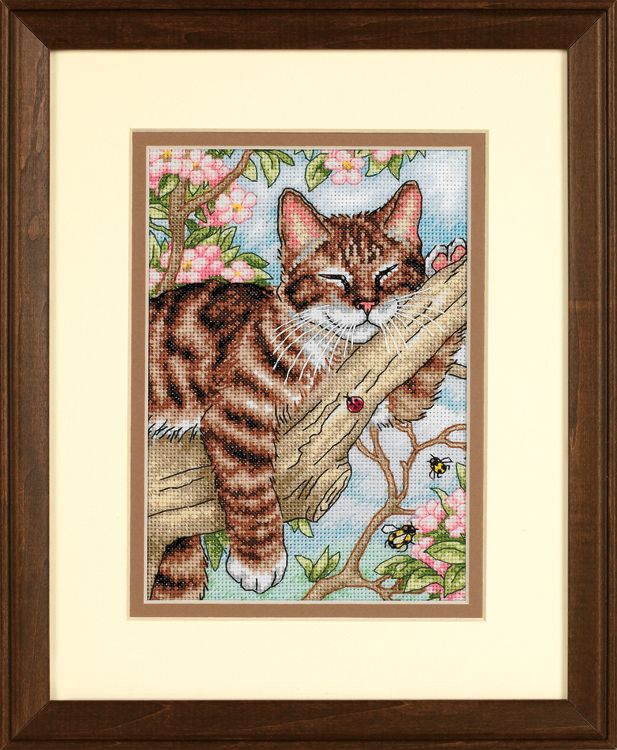 Dimensions Gold  - Napping Kitten