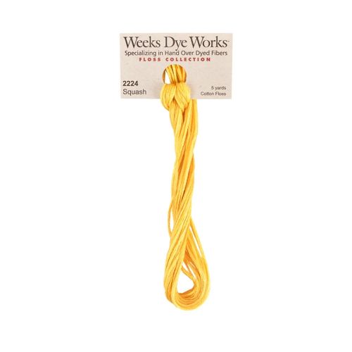 WDW 2224 Squash