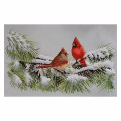 Dimensions - Winter Cardinals